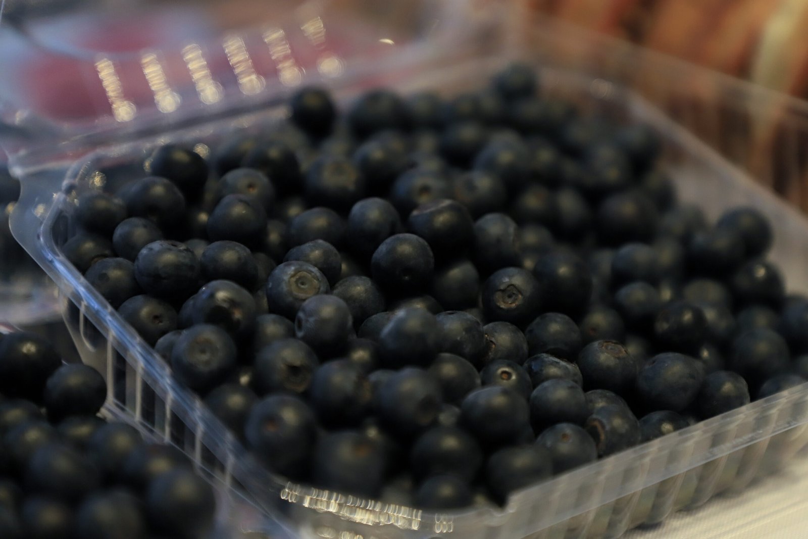 Anuncia gobierno estatal “Berries Club Fest 2023” en Zacatlán