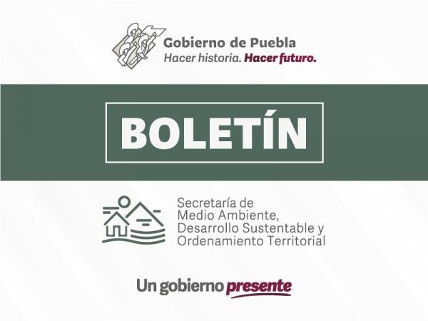 Supervisa gobierno estatal proceso de verificación para evitar fraudes o anomalías