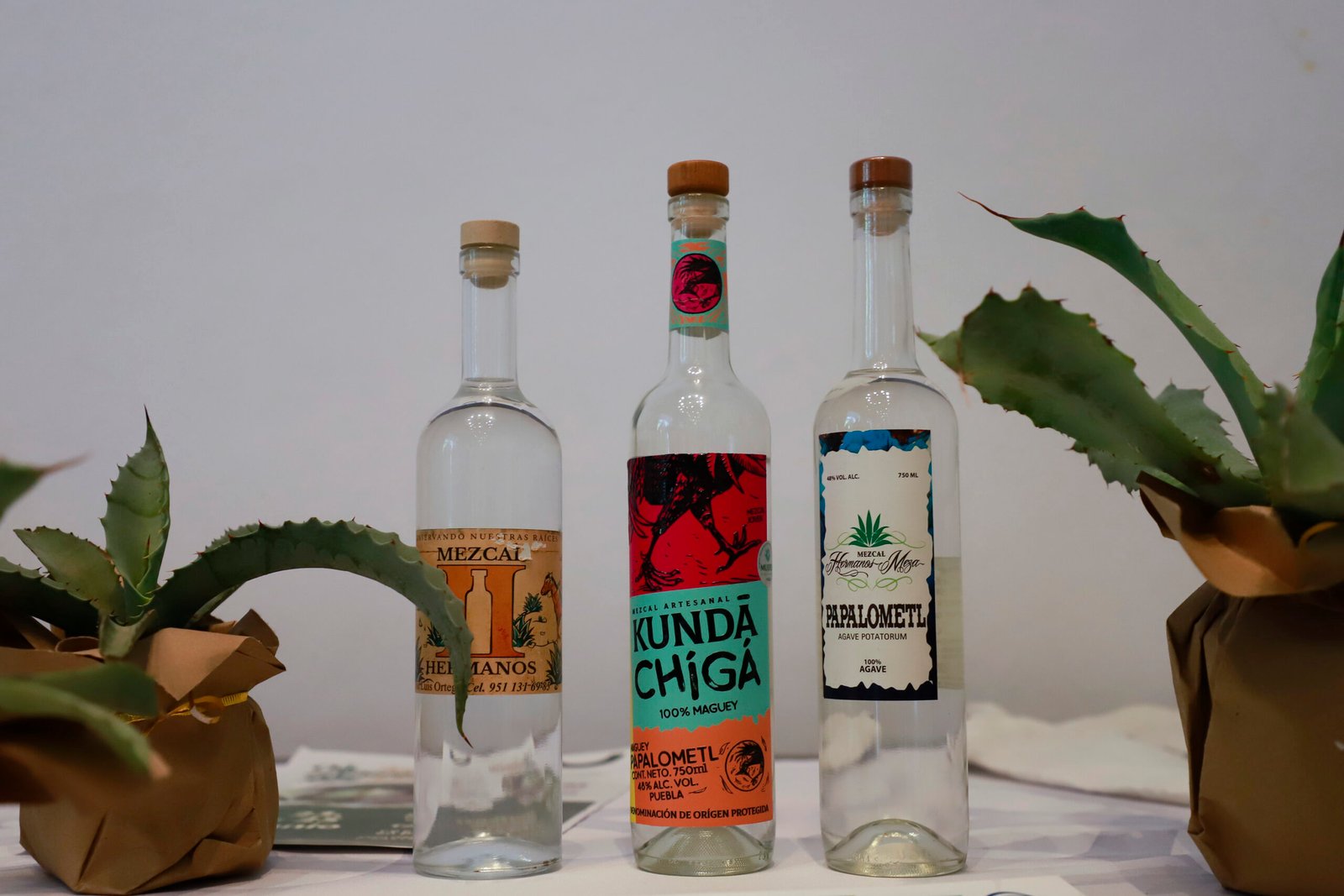 Anuncia gobierno estatal Congreso Regional de Agaves en UT de Tehuacán