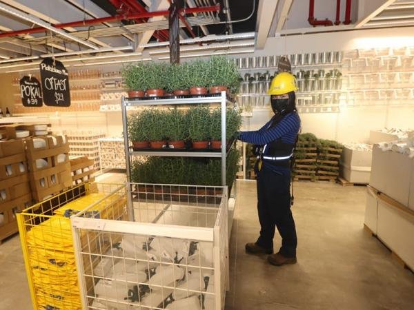 Avanza Puebla en empleo asegurado: Economía