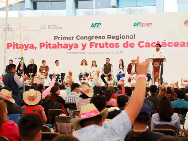 Impulsa gobierno estatal a productores y comercializadores de frutos de cactáceos