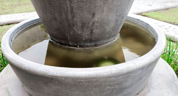 Reporta Salud cinco casos nuevos de dengue en las últimas 24 horas