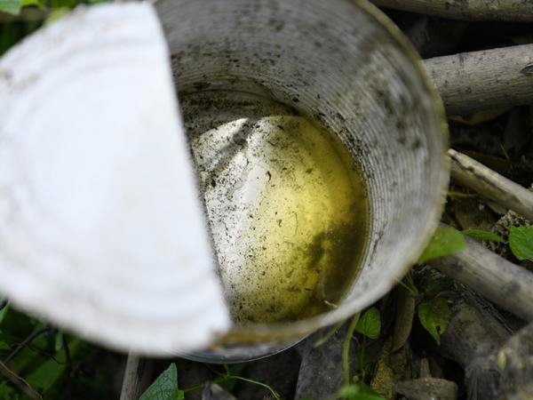 Reporta Salud mil 528 casos acumulados de dengue en 80 municipios