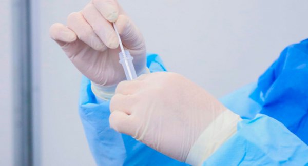 Reporta Salud mil 528 casos acumulados de dengue en 80 municipios