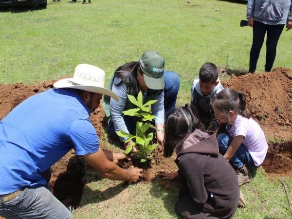 Ejecutará gobierno estatal ocho jornadas más de reforestación en 2023
