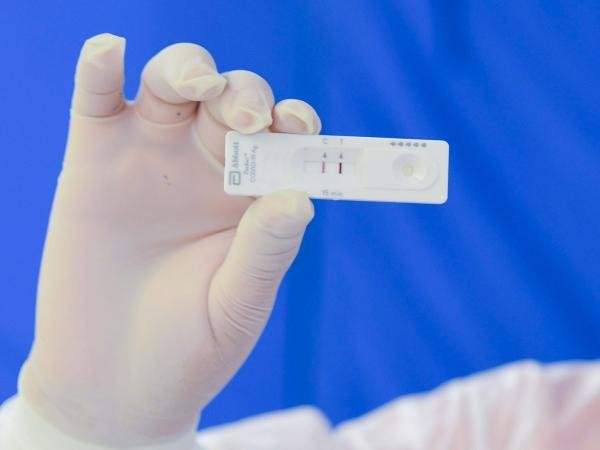 Reporta Salud mil 646 casos acumulados de dengue en 80 municipios