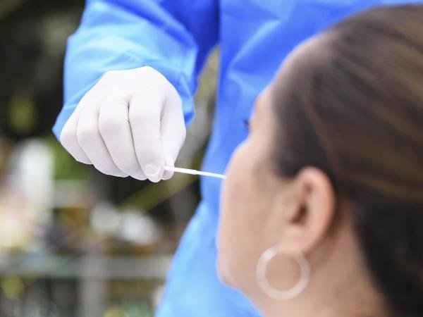 Suman 42 nuevos casos de dengue en las últimas 24 horas: Salud