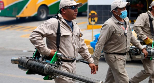 Cinco municipios concentran más de la mitad de los casos de dengue: Salud