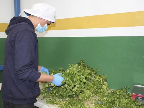 Promueve gobierno de Puebla inocuidad agroalimentaria