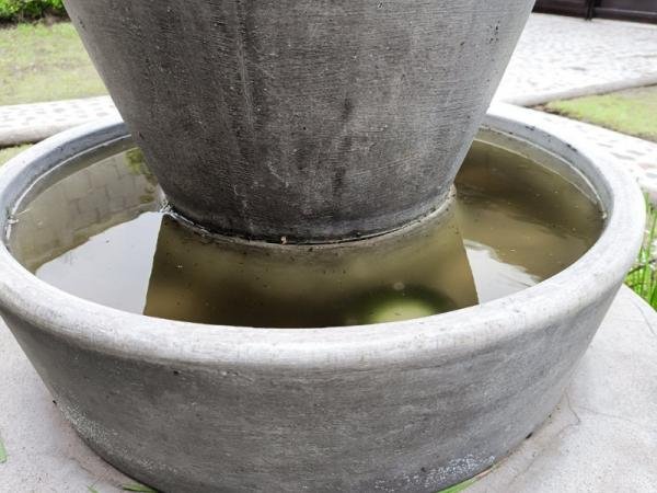 Acumula Puebla 2 mil 864 casos de dengue: Salud