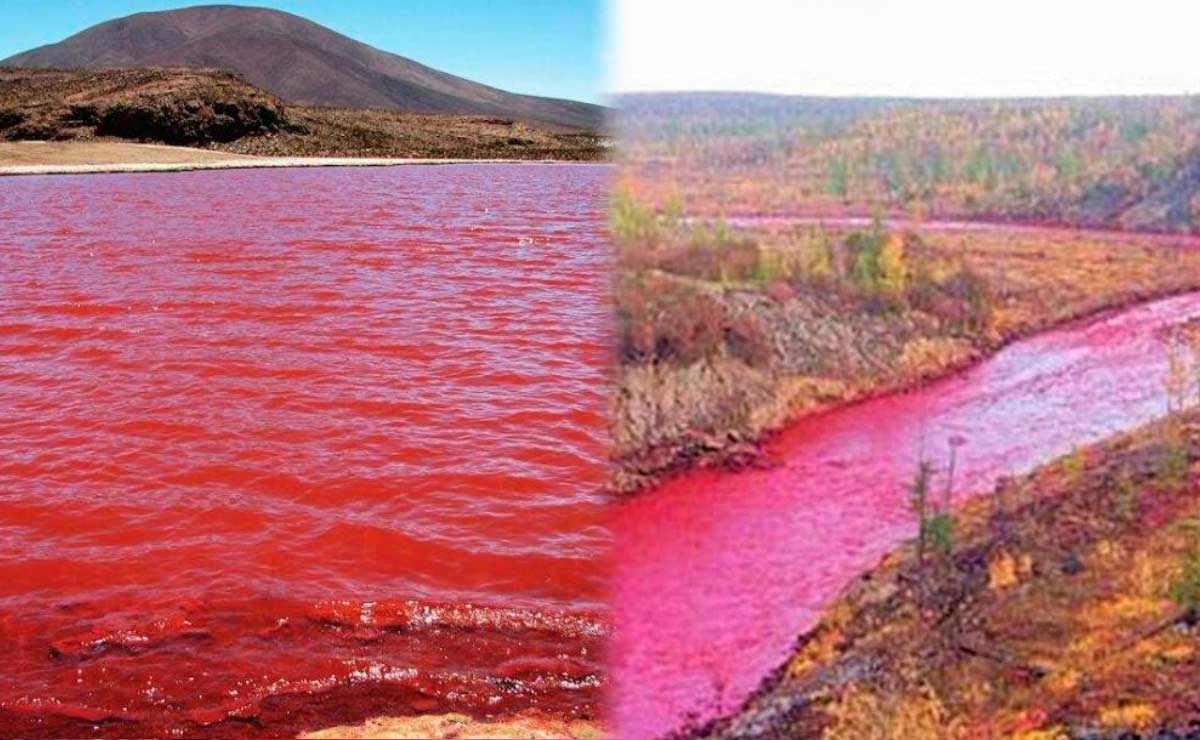 El Rio Nilo se tiñe Rojo en Egipto