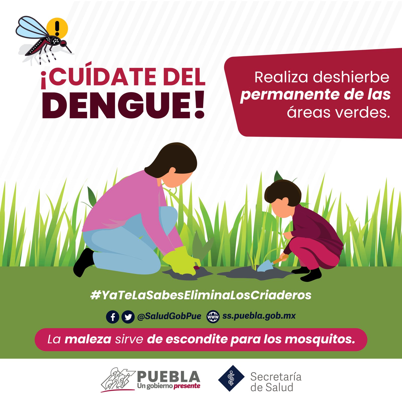 Registra Puebla 11 nuevos casos de dengue: Salud