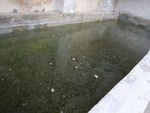 Mantiene Puebla saldo blanco en casos de dengue: Salud