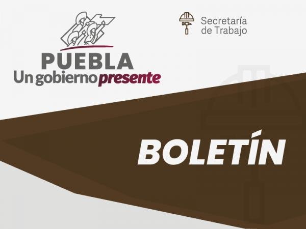 Impulsa gobierno estatal autoempleo para artistas y profesionistas