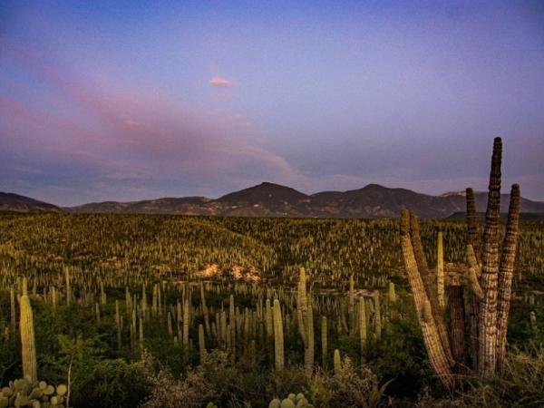 Nominan a seis atractivos turísticos de Puebla en los premios “Lo Mejor de México 2024”