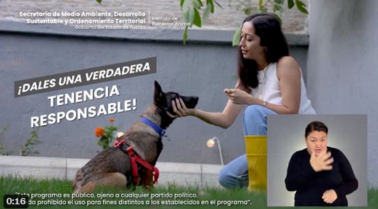 ¡Una tenencia responsable es tarea de todas y todos!