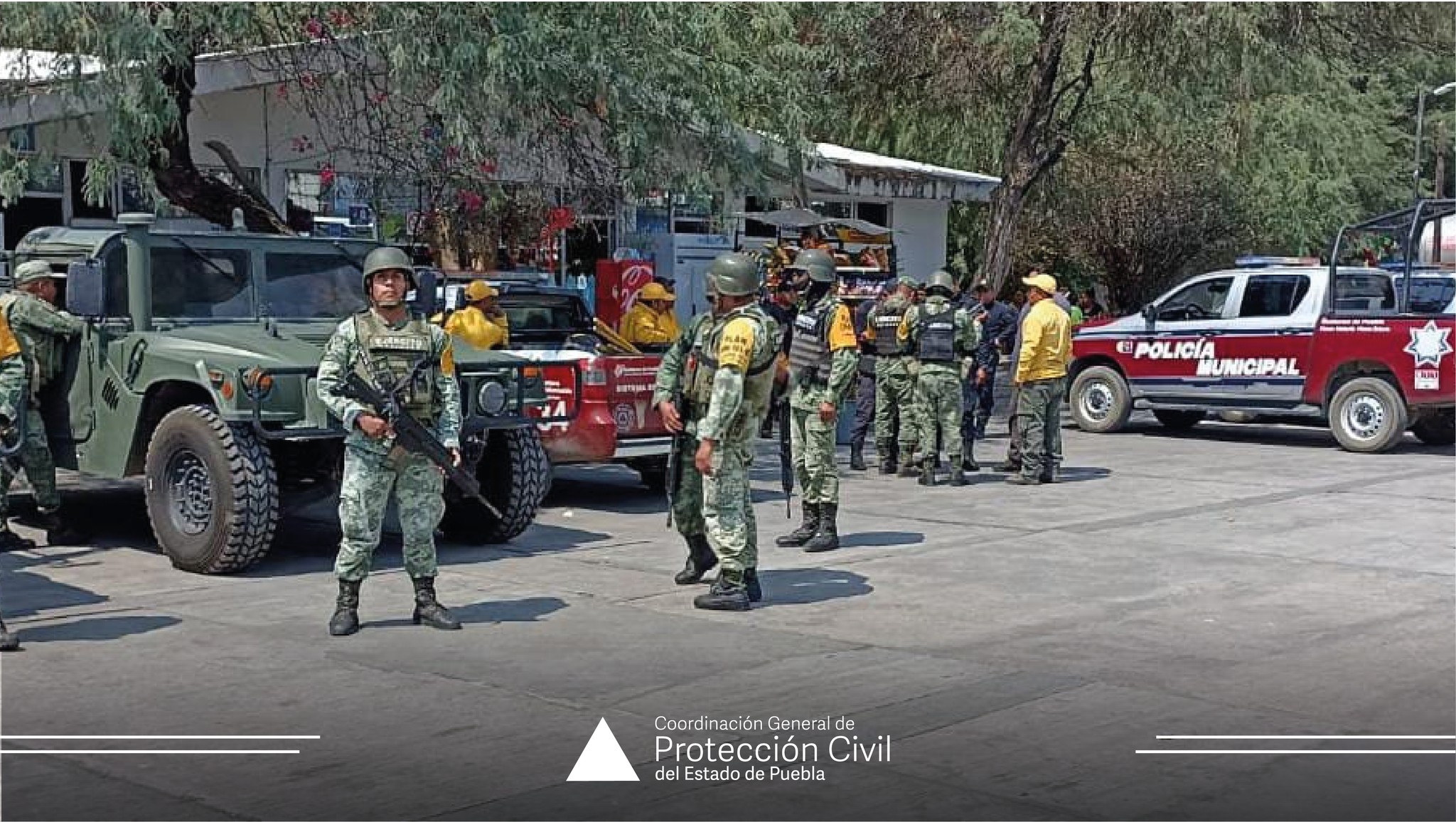 Protección Civil atiende incendio forestal