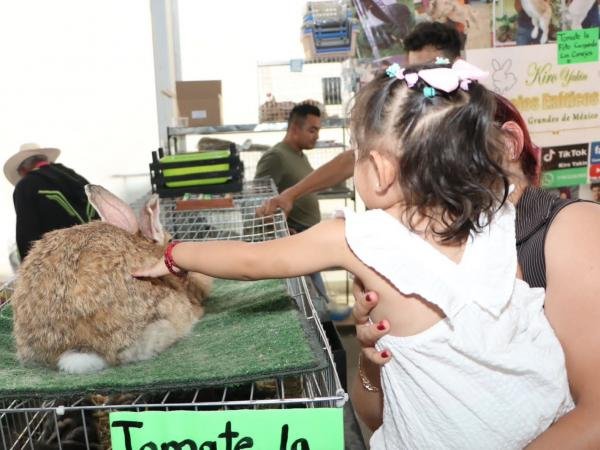 Celebra Expo Ganadera el Día del Niño y la Niña