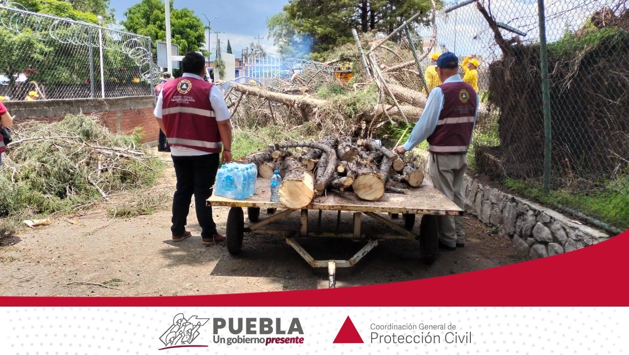 Protección Civil atiende la caída de 17 árboles