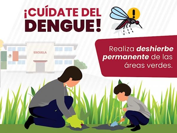 Continúa Izúcar de Matamoros con el mayor número de casos de dengue: Salud