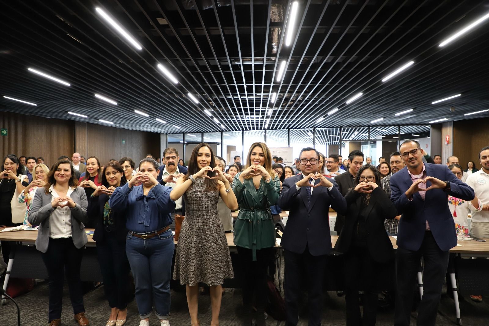 Gobierno y Congreso construyen Ley de Bienestar Animal