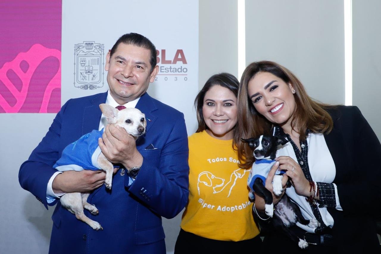 Bienestar Animal y municipios trabajan para proteger a seres sintientes