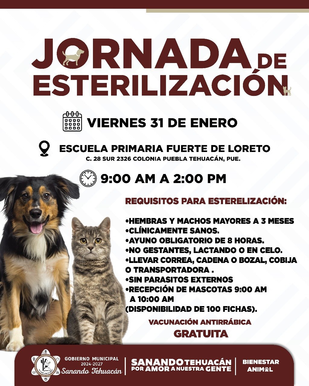 Cuidemos a nuestras mascotas