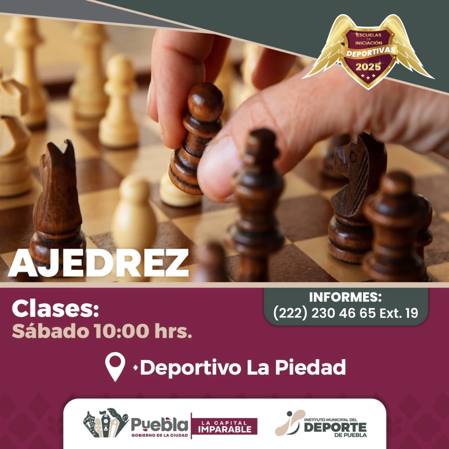 ¡Conviértete en un maestro del ajedrez y vence el aburrimiento!