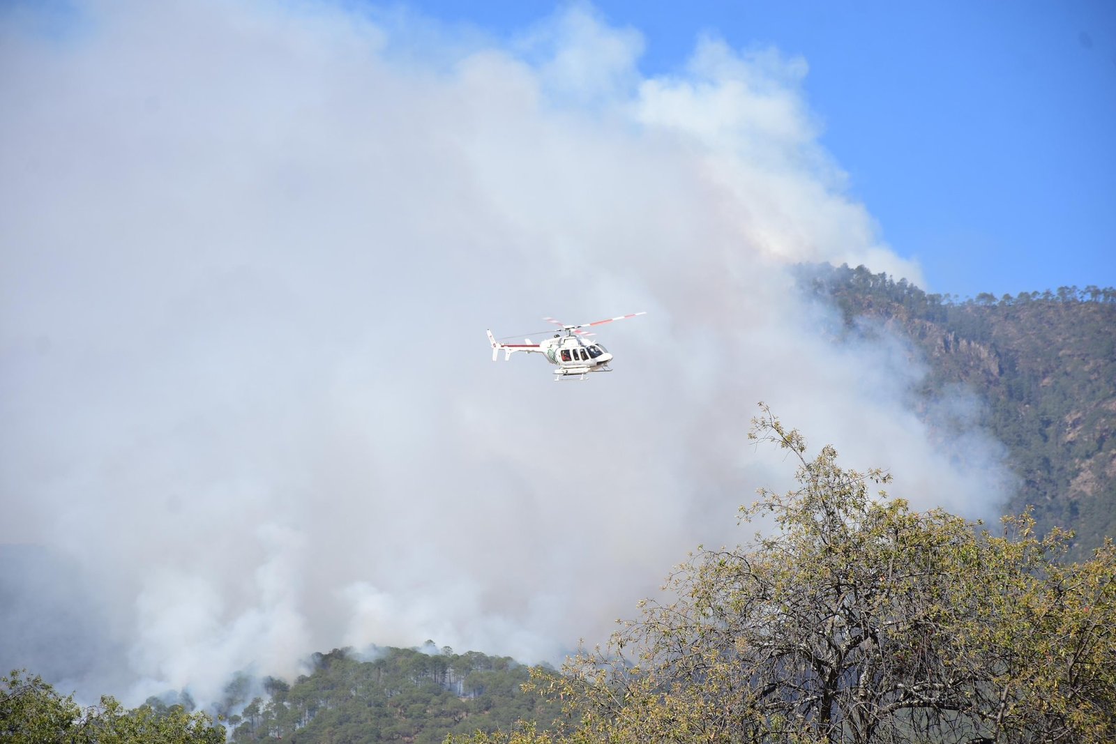 Personal de esta dependencia en coordinación con Secretaría de Marina, Defensamx, Policía Forestal, Bomberos del Estado, Voluntarios, Proteccion Civil Municipal