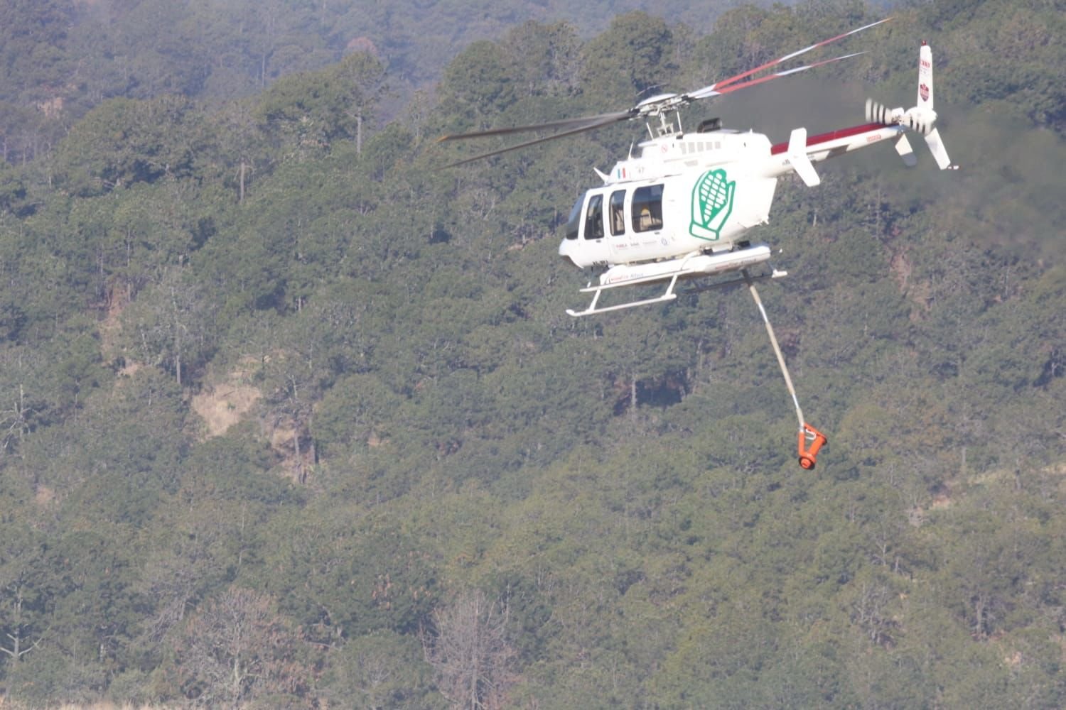Combate inmediato y coordinado de incendios forestales en la zona Puebla-Tlaxcala
