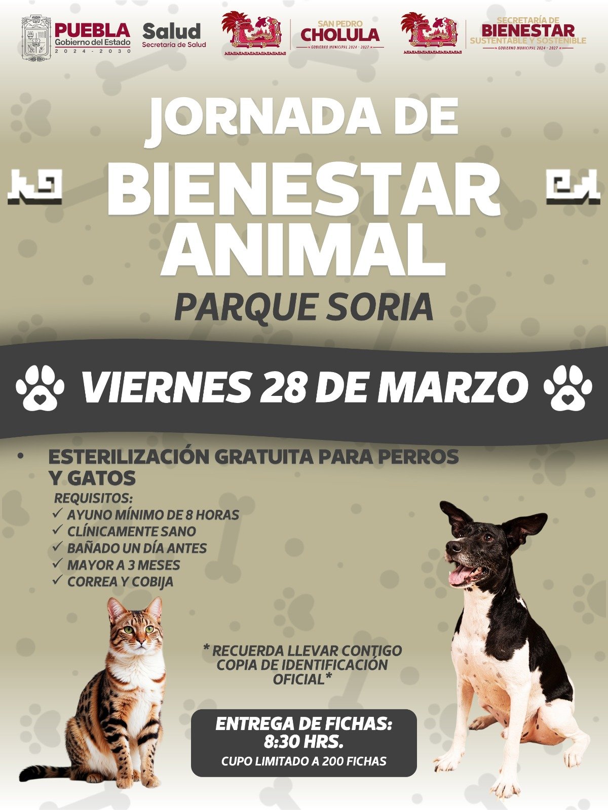 ¡Tu compromiso con el cuidado de los seres sintientes es fundamental!