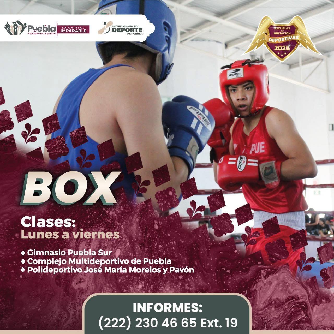 ¡Desarrolla tu fuerza, técnica y disciplina en el Boxeo!