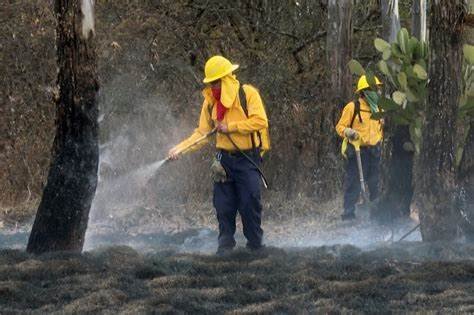 Con una efectividad del 100 por ciento, Gobierno de Puebla atiende incendios